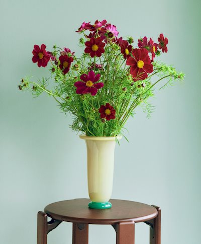 INVITE SPRING INSIDE