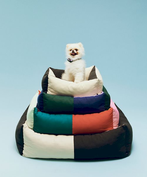 2025 HAY DOGS BY HOLLY GOLIGHTLY