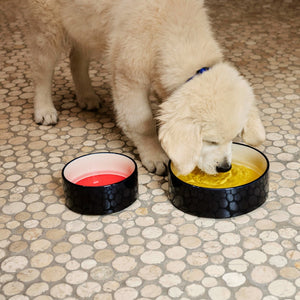 HAY Dogs Bowl Large - Blue, Yellow