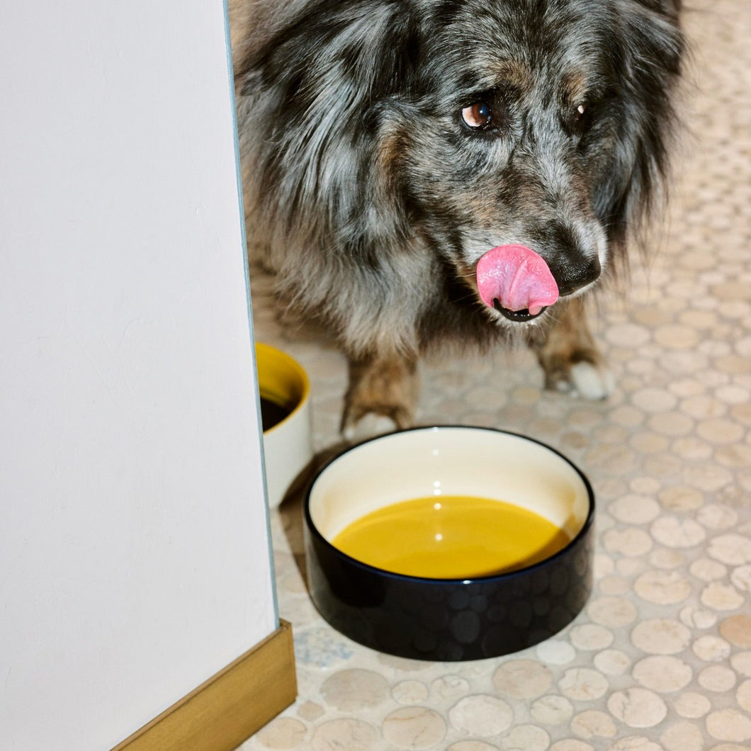 HAY Dogs Bowl Large Yellow Blue HAY Shop