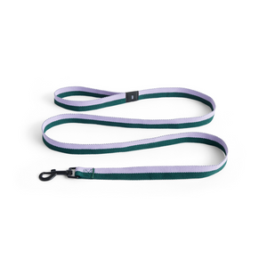 HAY Dogs Leash, Flat M/L - Lavender, Green