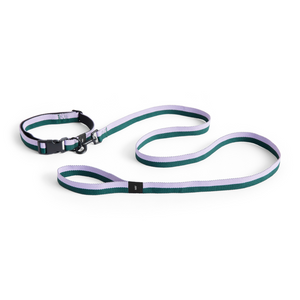 HAY Dogs Leash, Flat M/L - Lavender, Green