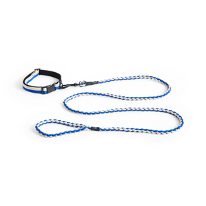 Braided dog leash hotsell