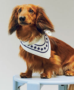 HAY Dogs Scarf (Recycled) - Brown