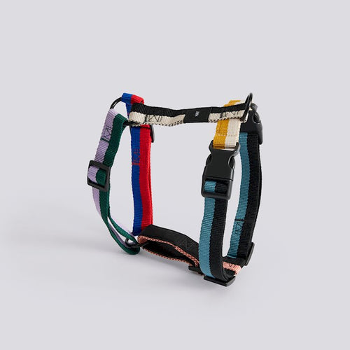 HAY Dogs Harness-Medium-Multi colour