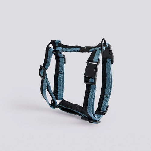 HAY Dogs Harness-Medium-Blue, black